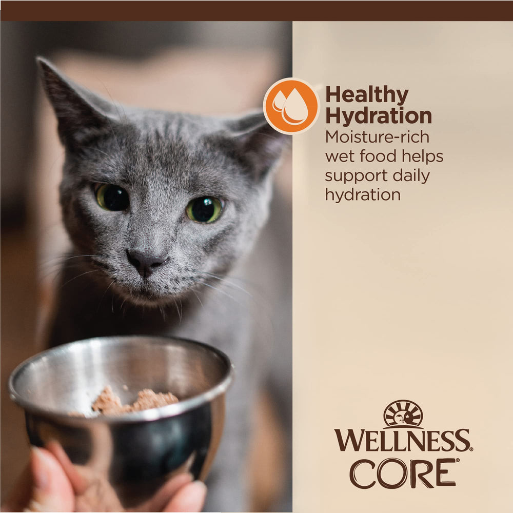 Wellness CORE Tiny Tasters wet cat food shown as a single-serving pouch.