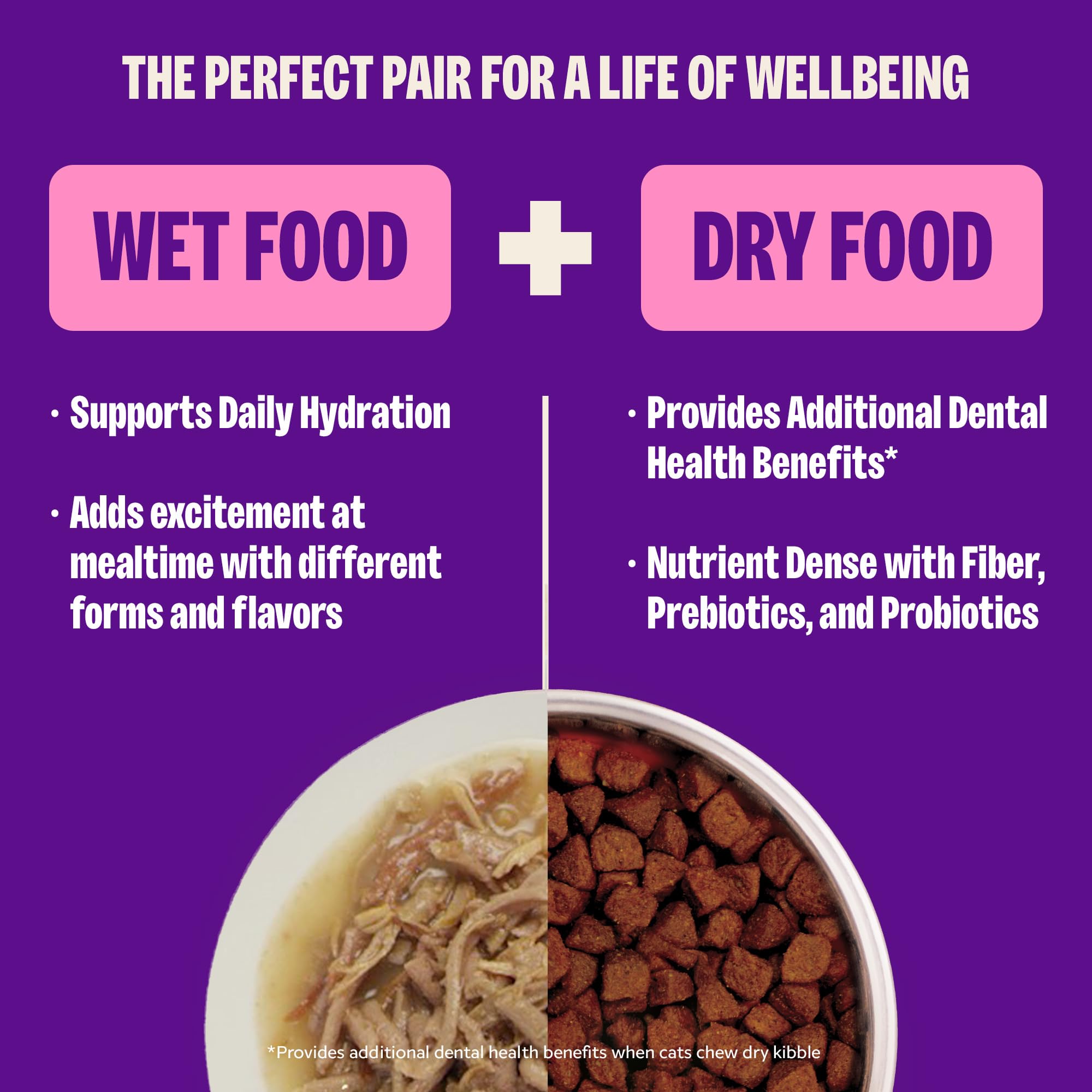 Wellness CORE wet cat food shown ready to serve.