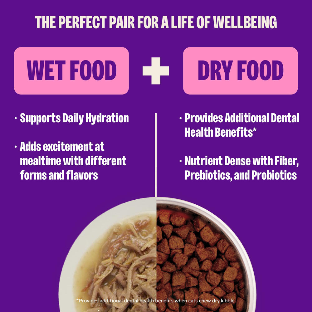 Wellness CORE wet cat food shown ready to serve.