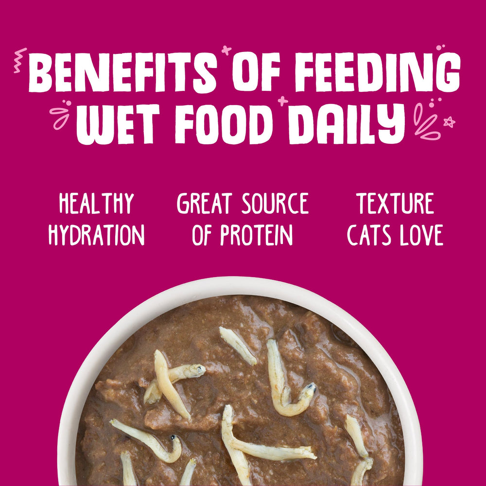 Weruva Asian Fusion cat food ingredient label shown up close.