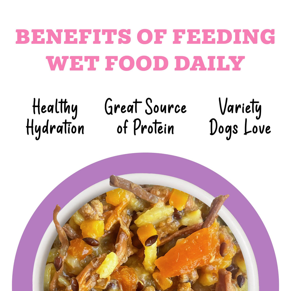 Weruva Awesome Belly wet dog food featuring beef and white rice.