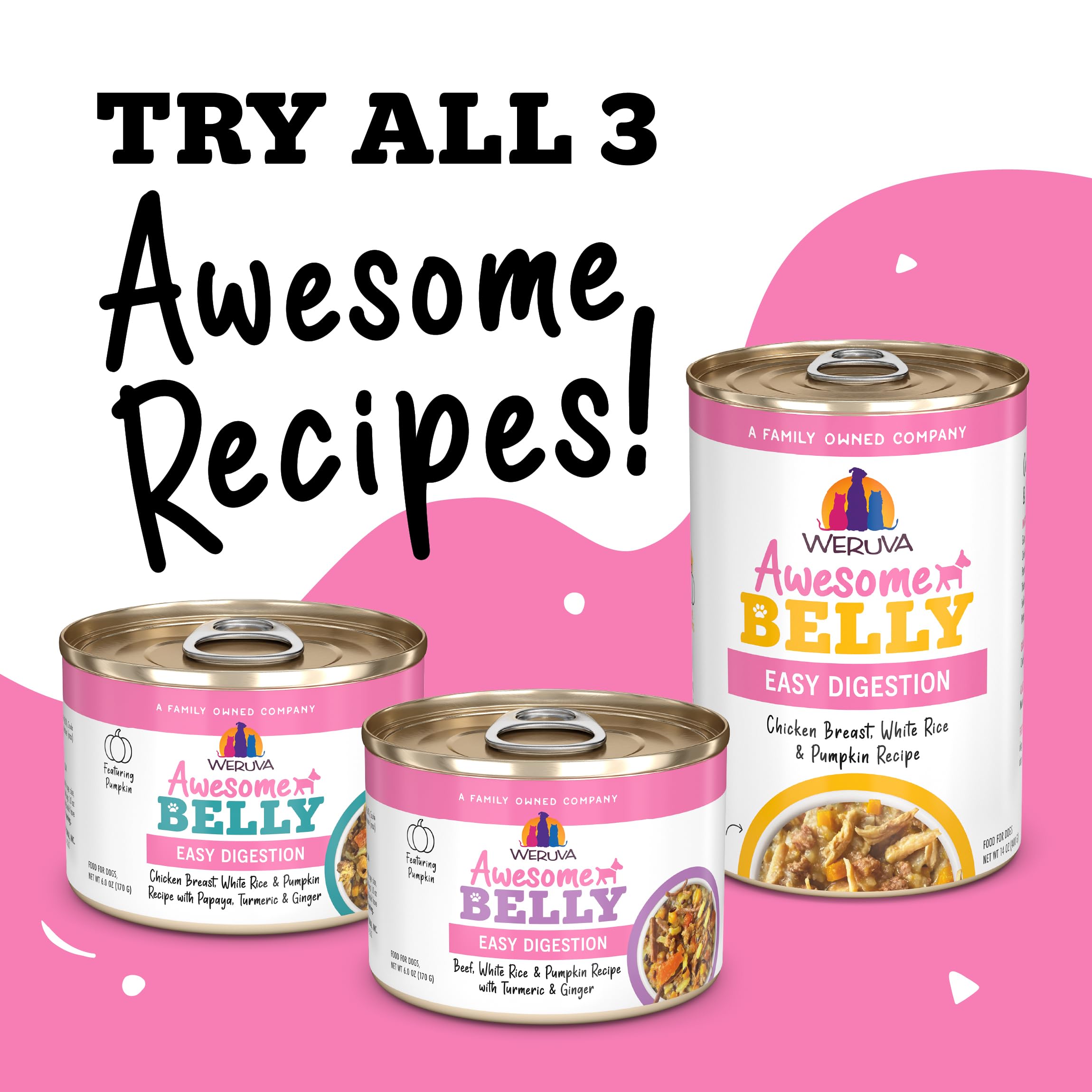 Weruva Awesome Belly wet dog food showing its food texture.