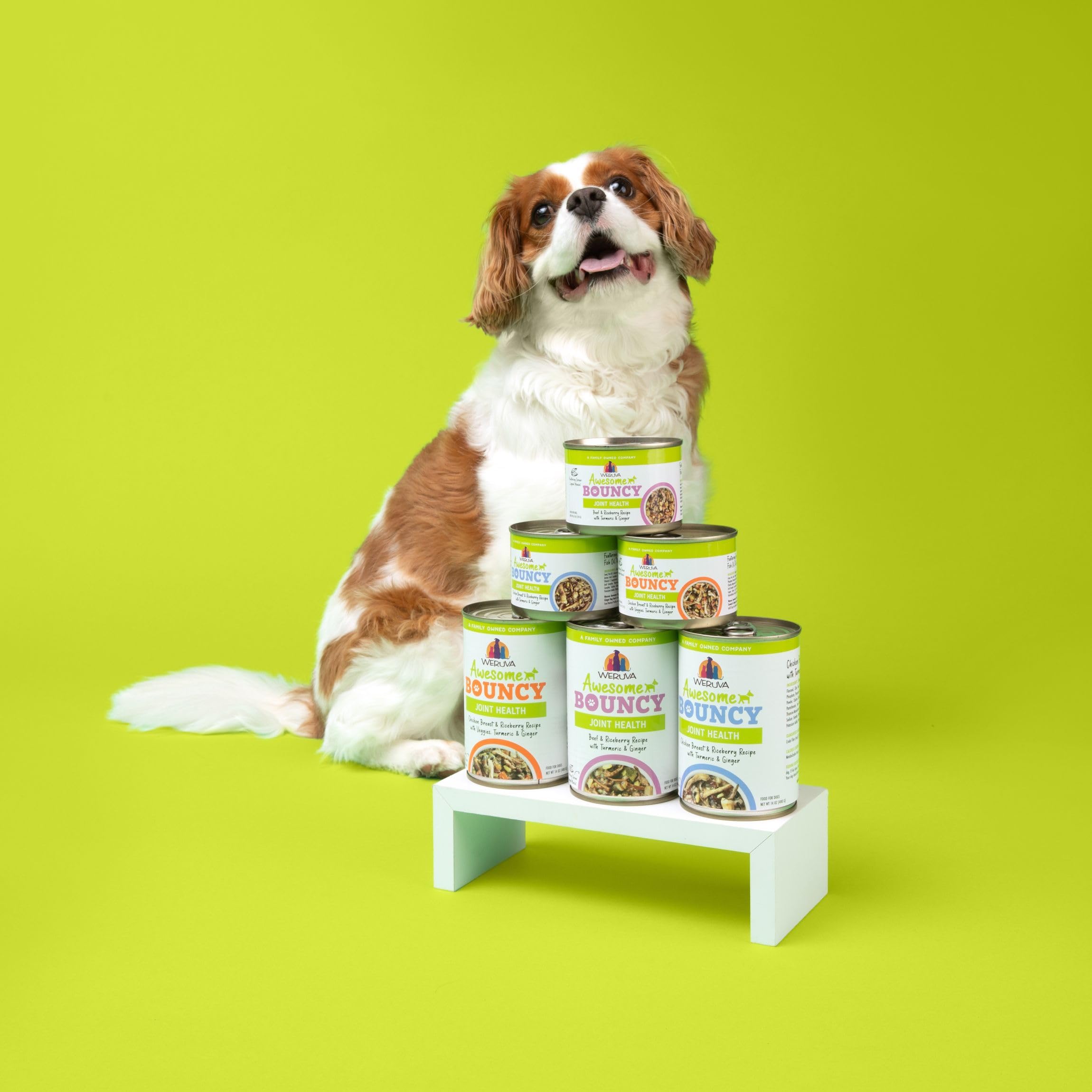 Weruva Awesome Bouncy ingredient exclusions include gluten, wheat, corn, soy and meat by-products.