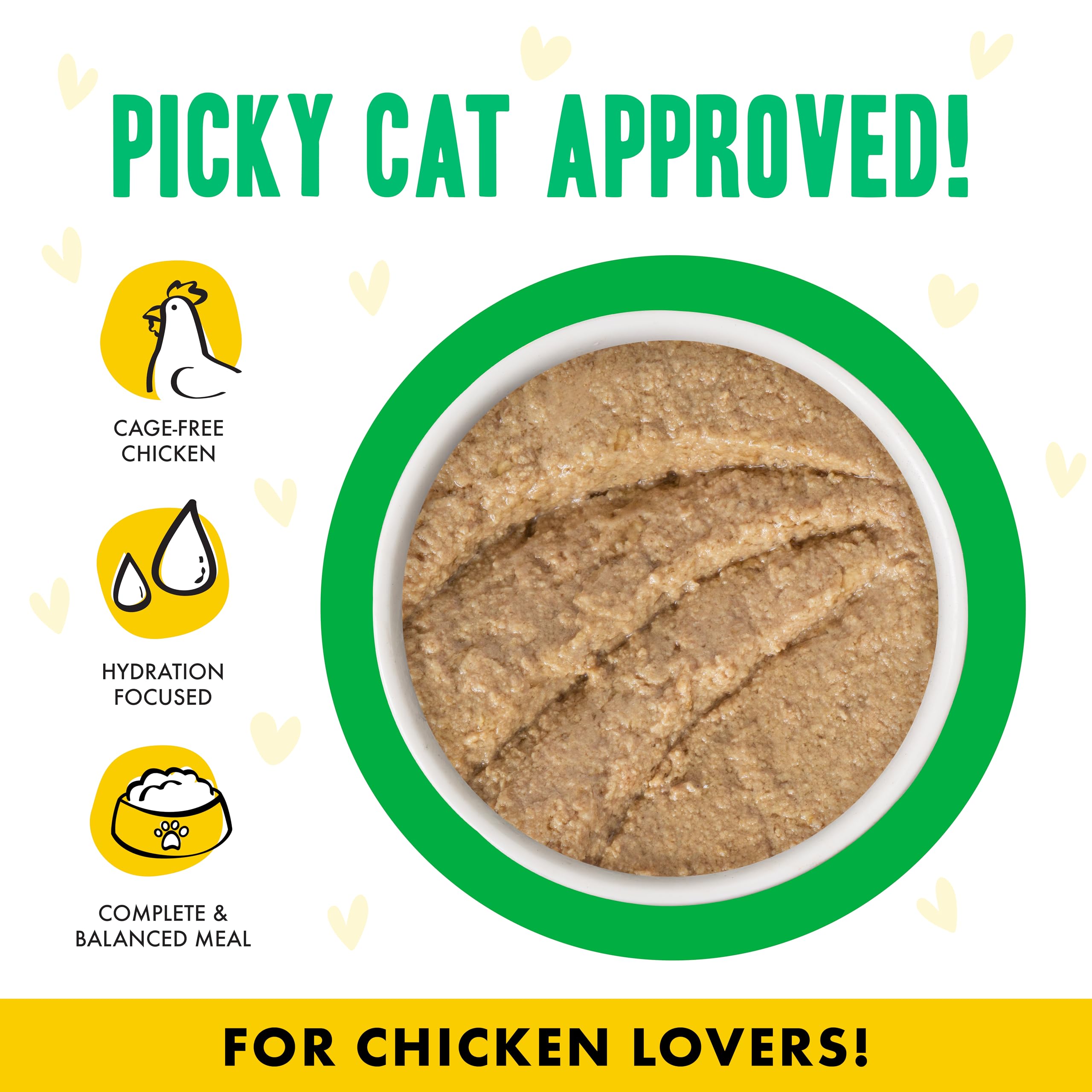 Weruva B.F.F. Play chicken and lamb paté shown in a close-up of its texture.