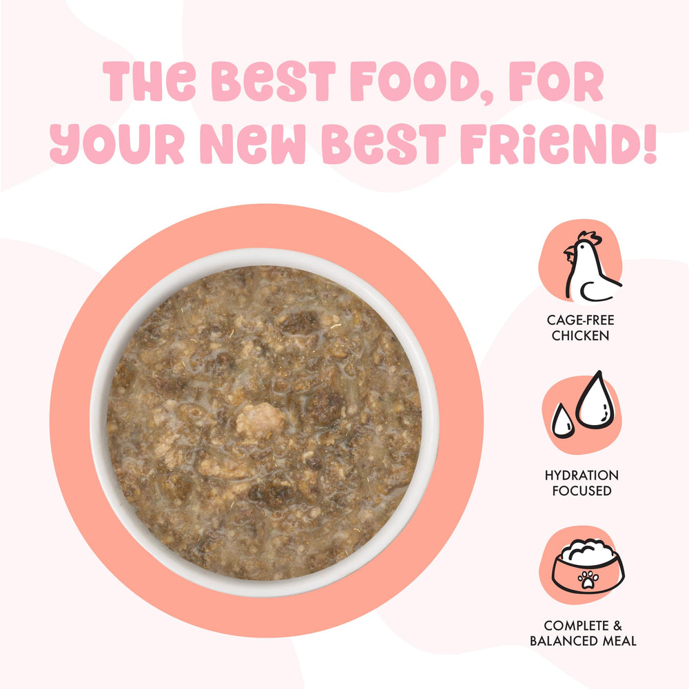 Weruva B.F.F. kitten food Cuddle Buds gravy recipe shown close up.