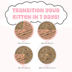 Weruva B.F.F. kitten food shown served as a meal.