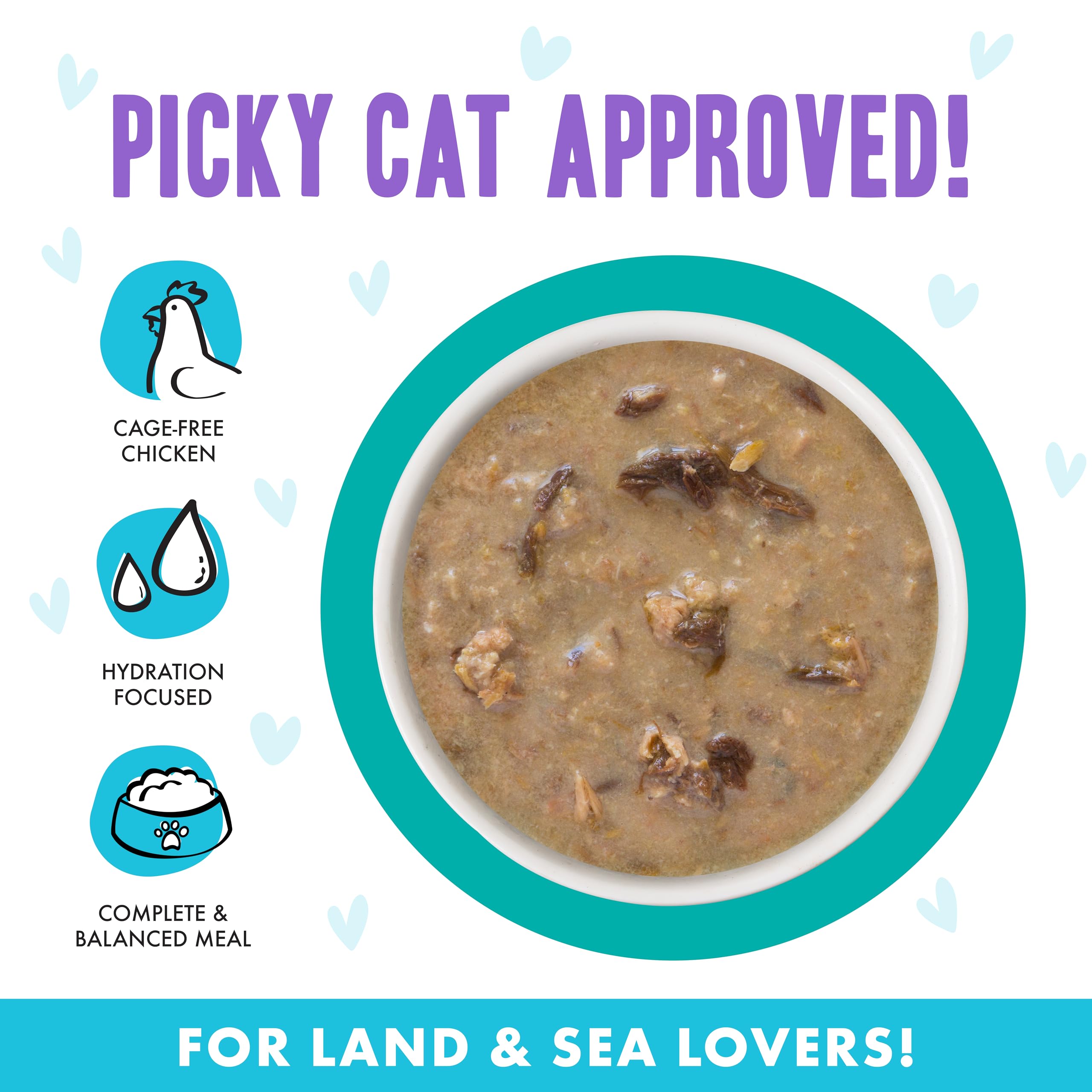 Weruva B.F.F. OMG cat food gravy shown in close-up.