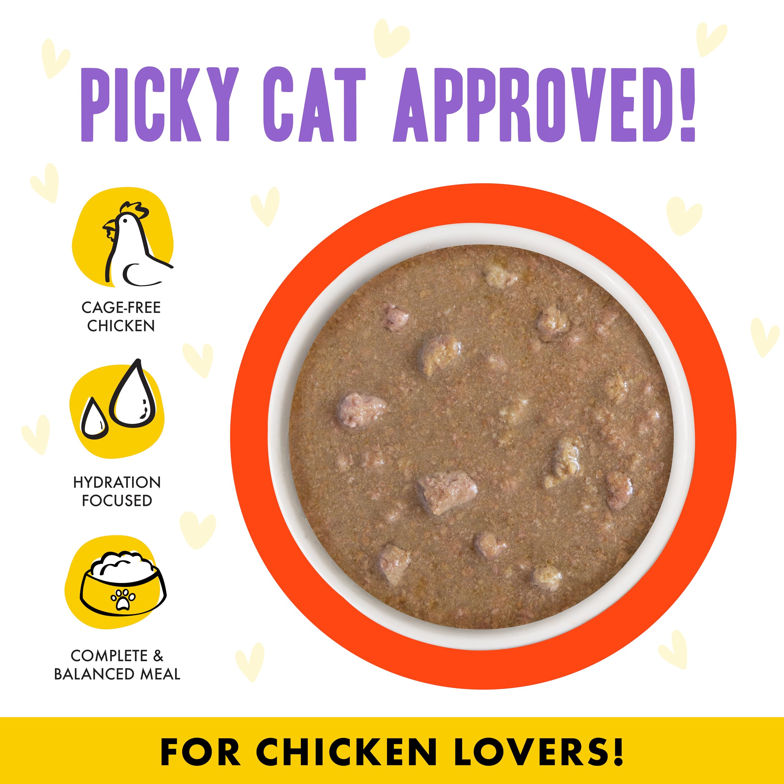 Weruva B.F.F. OMG cat food gravy shown in a close-up.