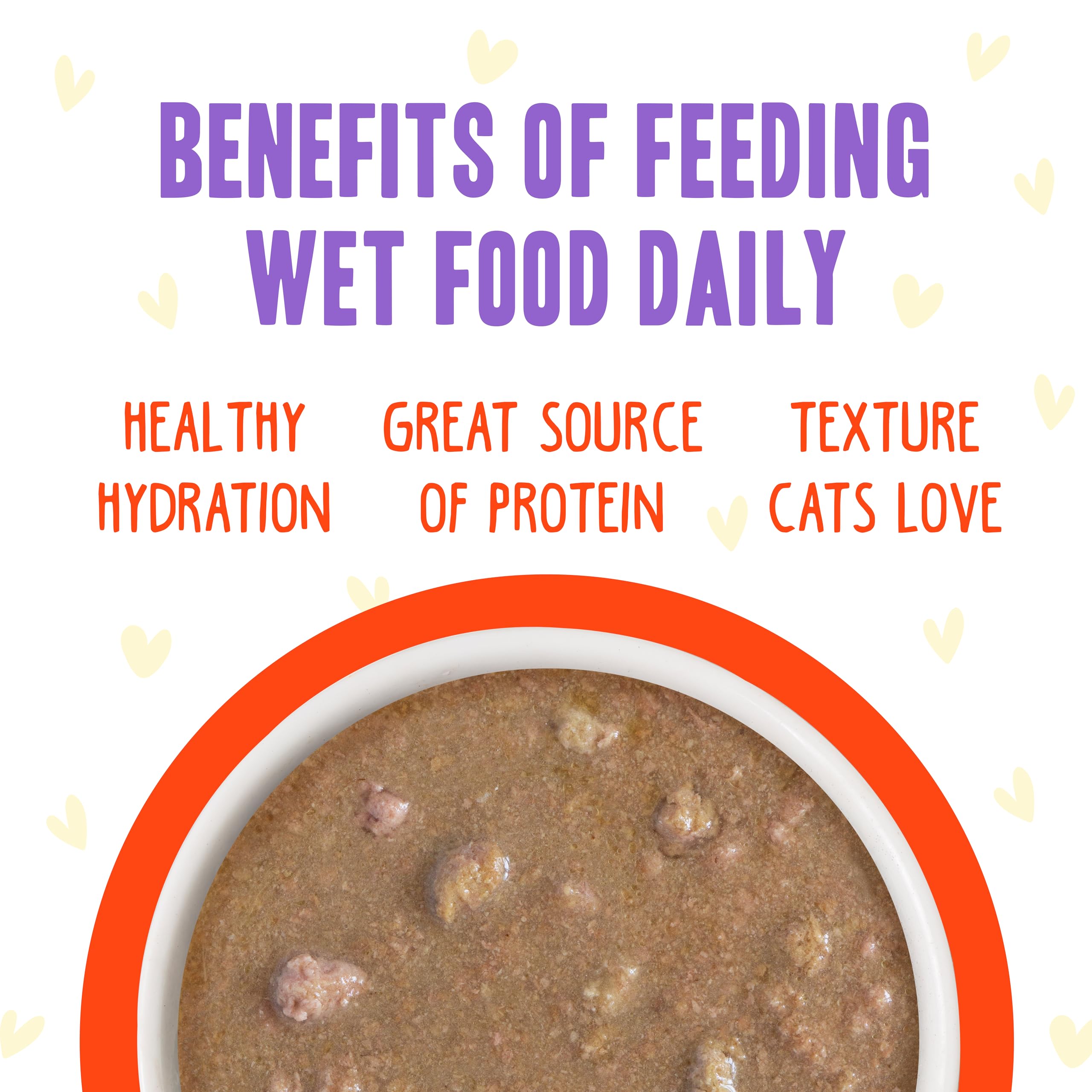 Weruva B.F.F. OMG cat food Chicken & Salmon recipe shown up close.