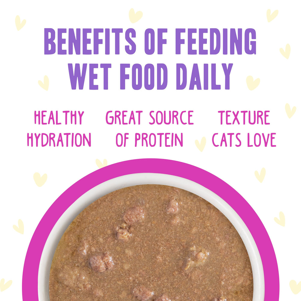 Weruva B.F.F. OMG cat food twelve-can pack shown together.
