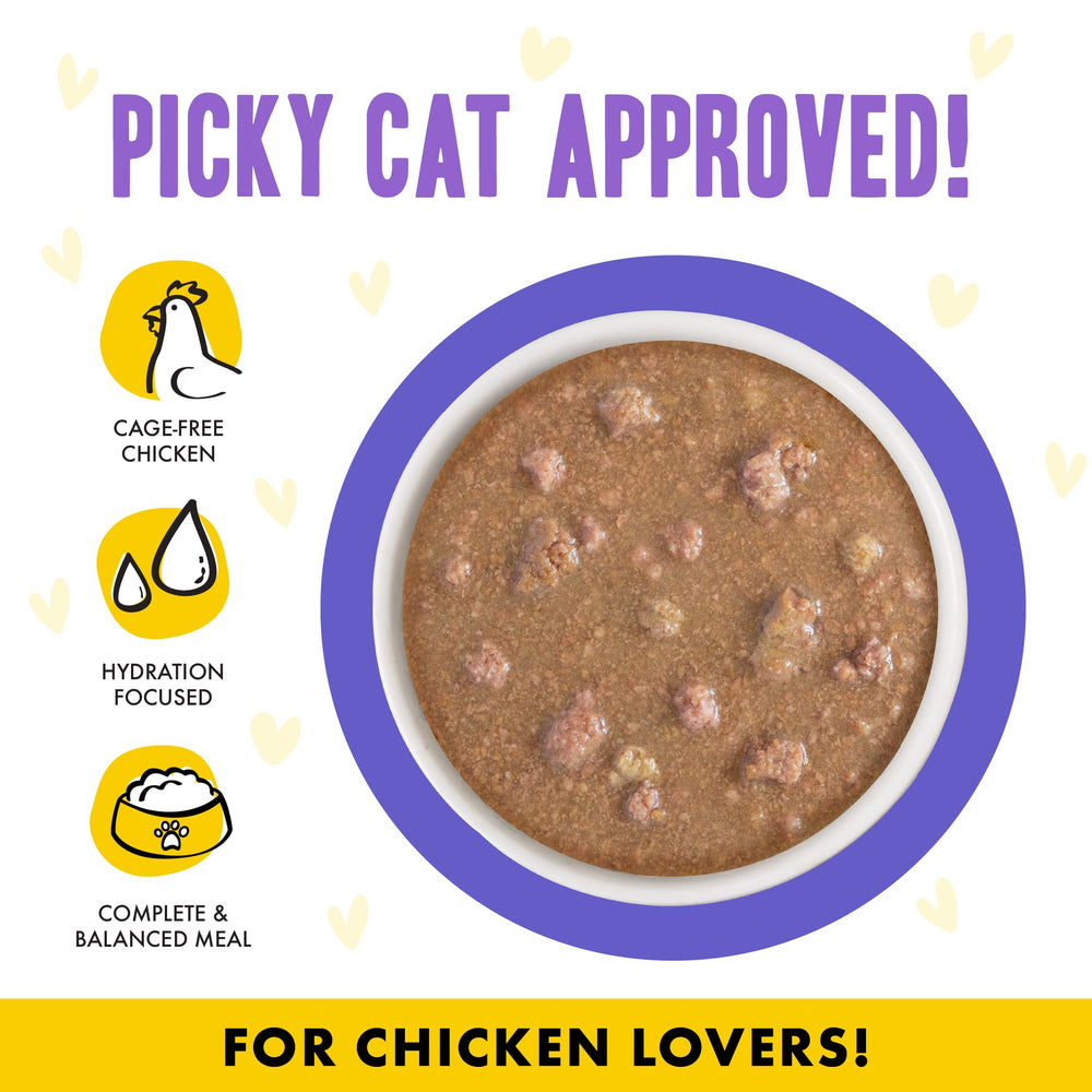Weruva B.F.F. OMG cat food gravy shown in close-up.