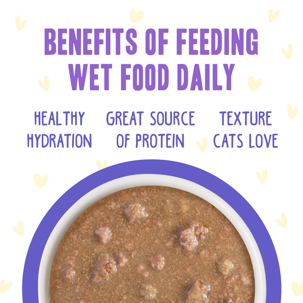 Weruva B.F.F. OMG cat food with tender chicken pieces in gravy.