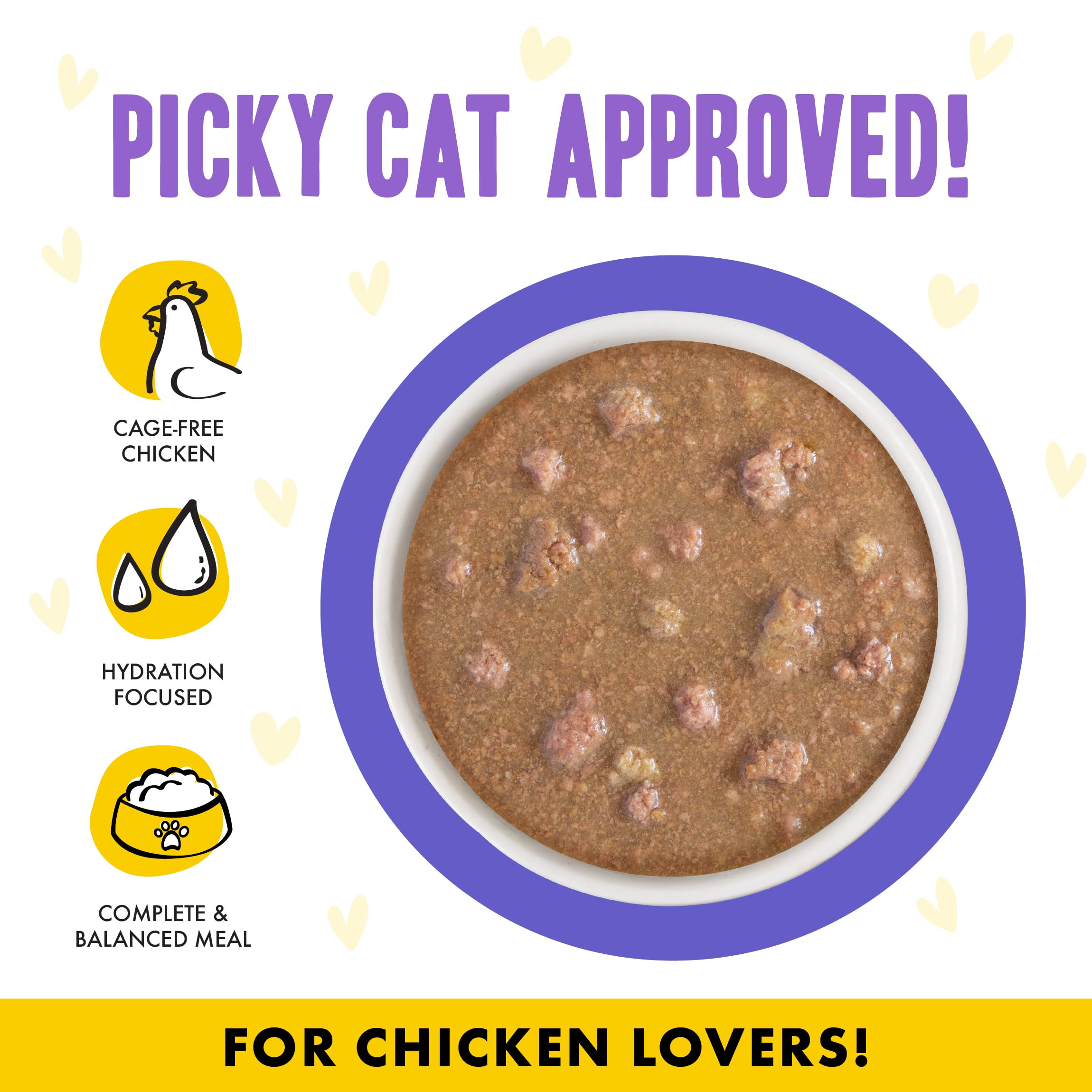 Weruva B.F.F. OMG cat food with gravy as the visual focus.