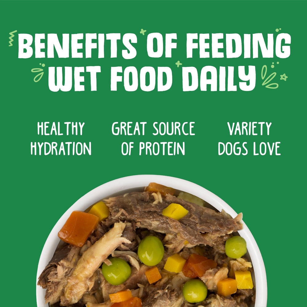 Weruva Cirque de la Mer dog food with tuna and vegetables in pumpkin gravy.
