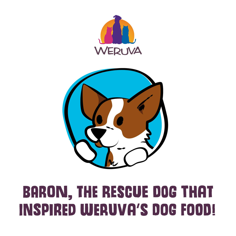 Weruva Classic dog food can shown from the side.