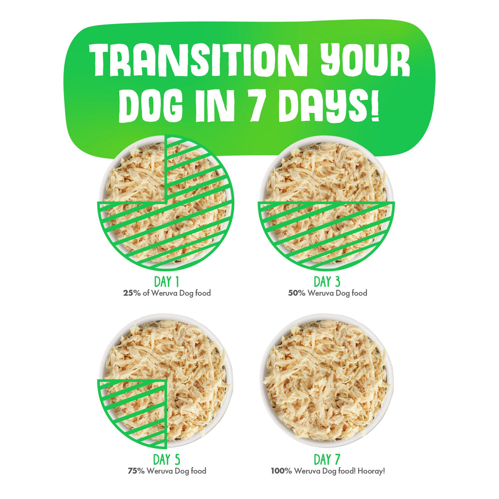 Weruva Classic dog food shown ready to serve.