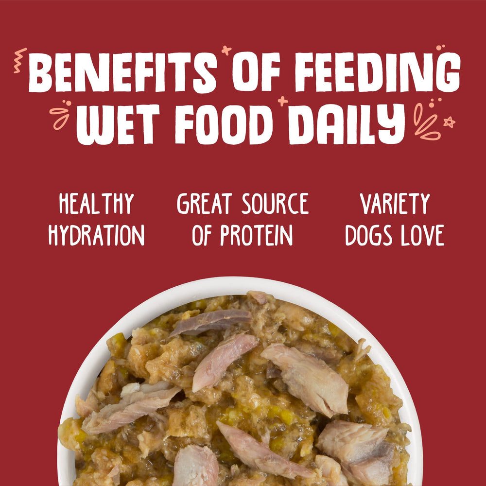 Weruva dog food 24-can pack shown together.