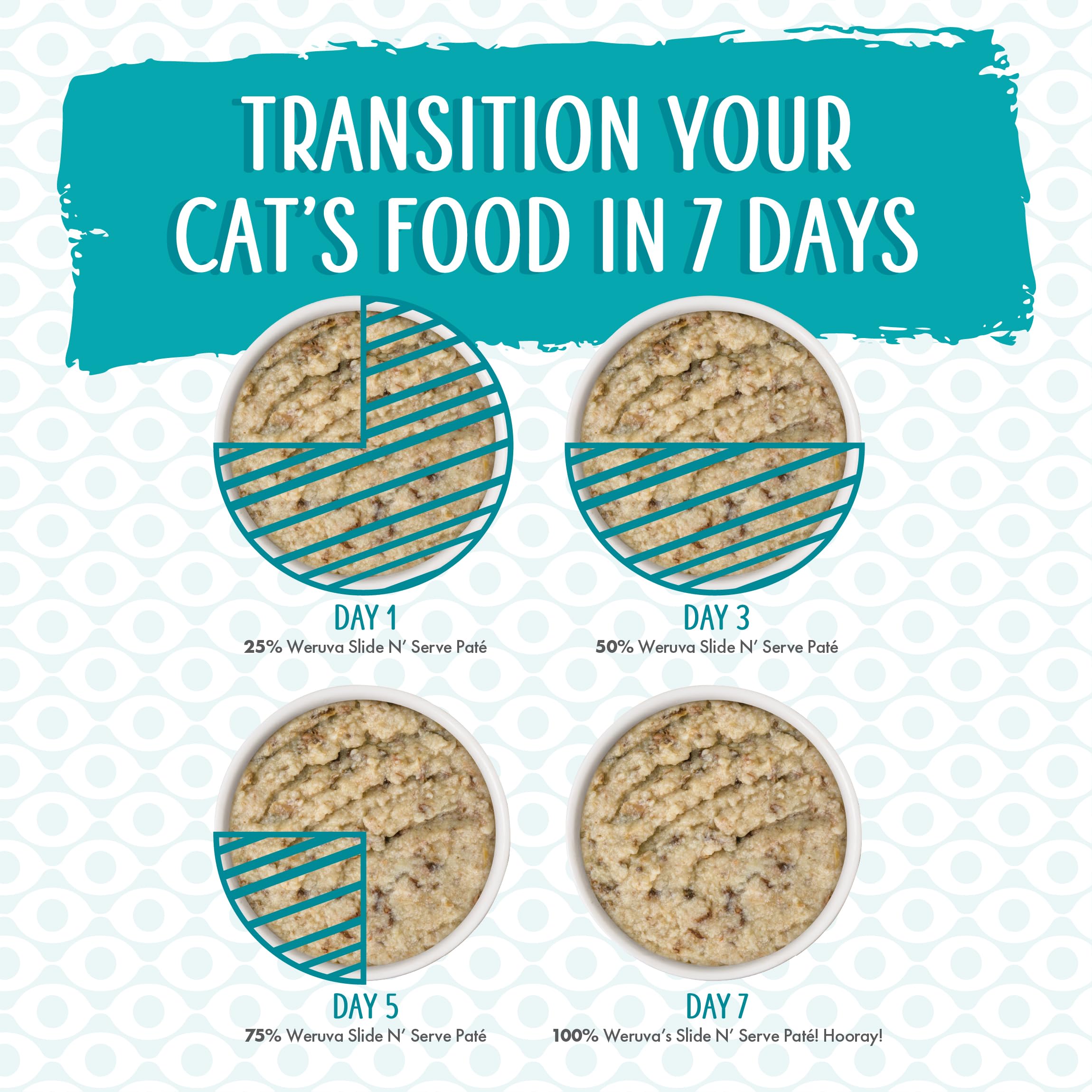 Weruva Love Connection wet cat food shown ready to serve.
