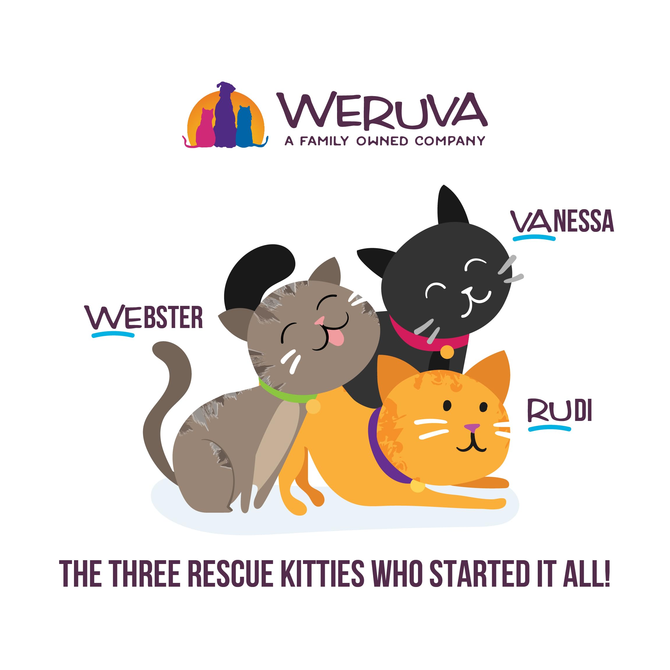 Weruva Name Dat Tuna wet cat food pack showing its twelve pouches.