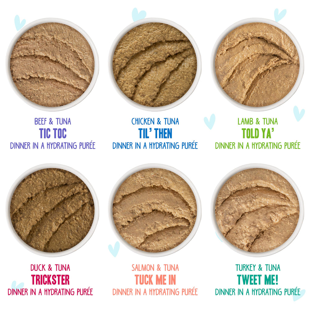 Weruva B.F.F. Play Paté Buffet with a close-up view of the pate texture.