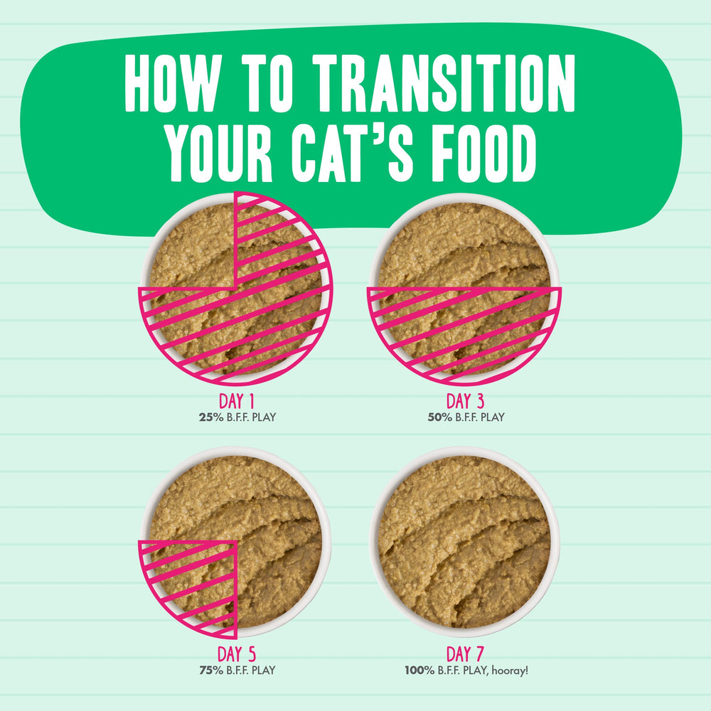 Weruva B.F.F. Play Paté Buffet featuring the Turkey & Tuna Tweet Me recipe.