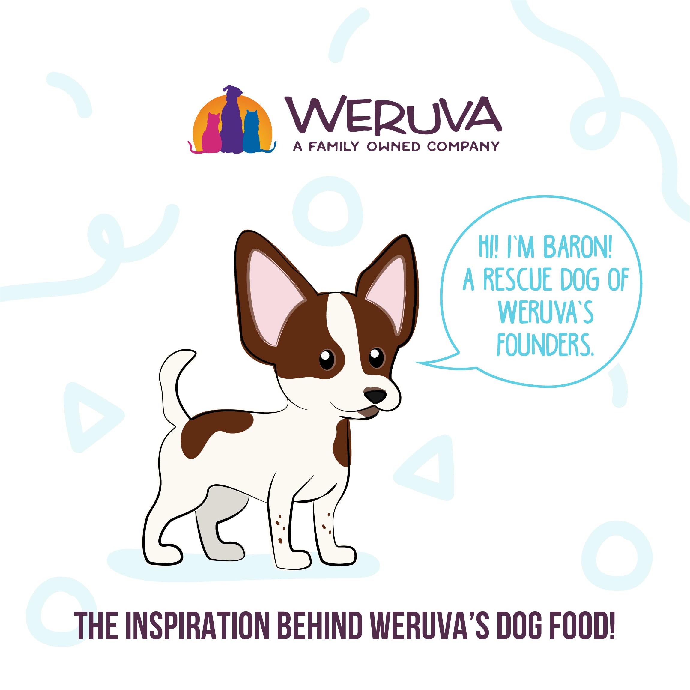 Weruva wet dog food product label shown close up.
