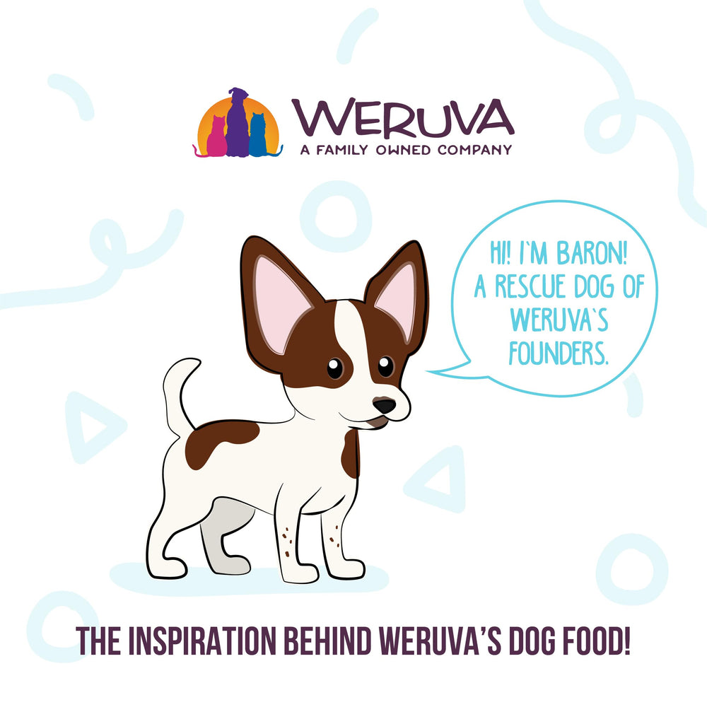Weruva wet dog food product label shown close up.