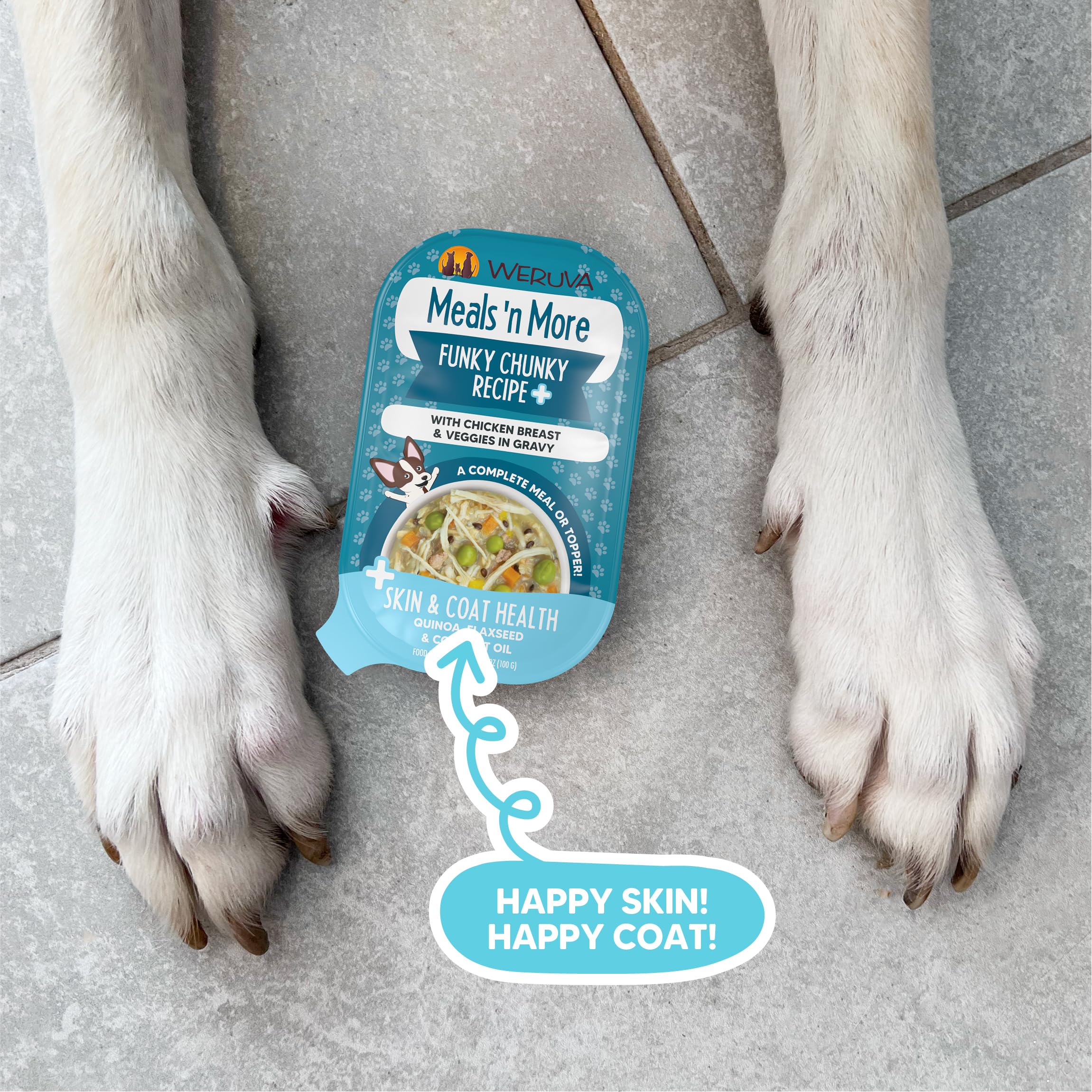 Weruva wet dog food served as a dog meal.
