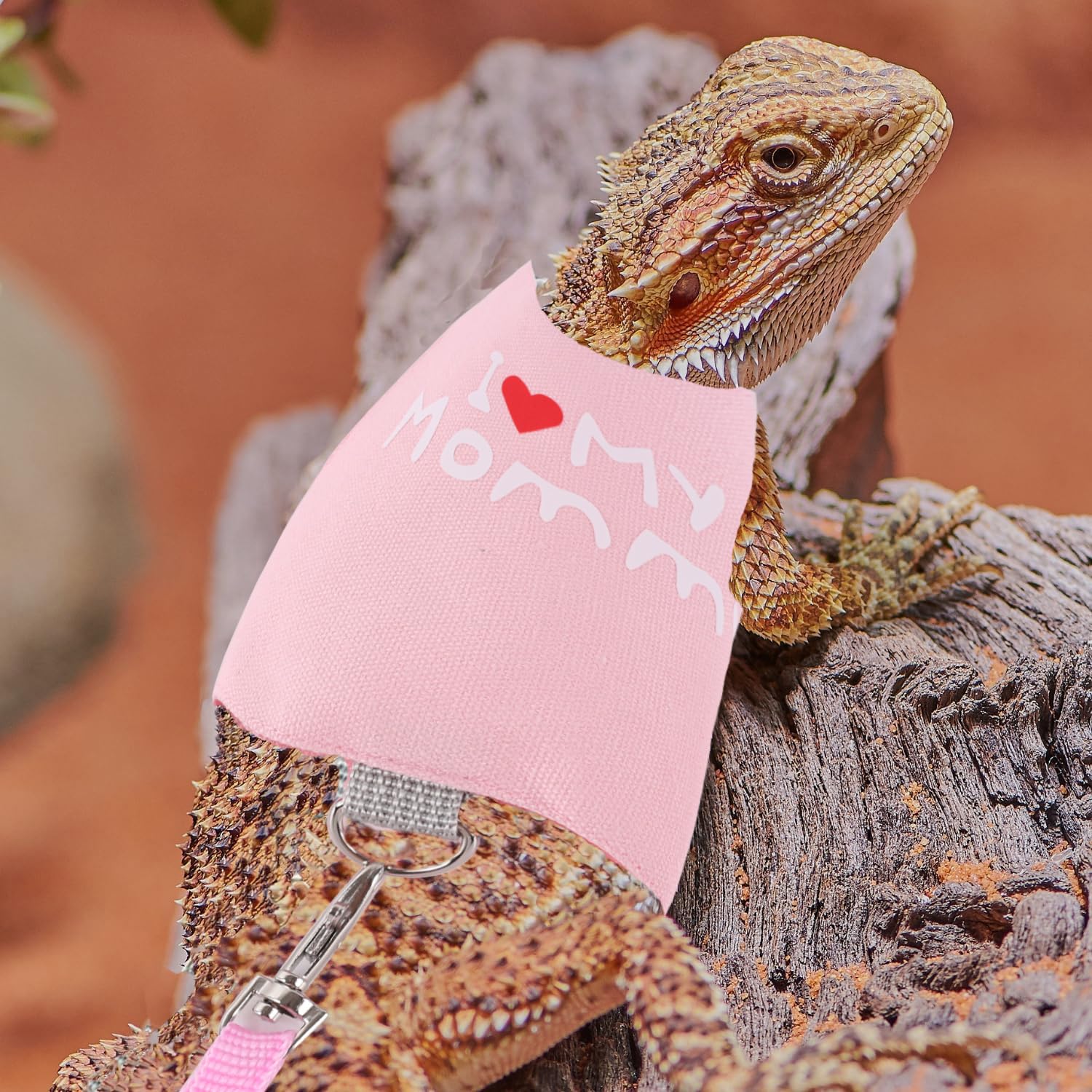 WEVONIGU small animal backpack carrier shown with a bearded dragon inside.