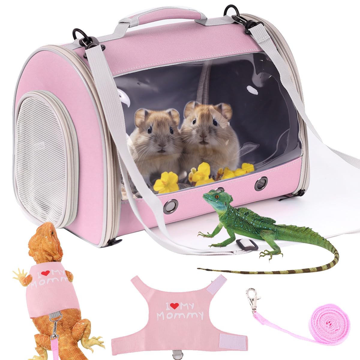 WEVONIGU small animal backpack carrier showing its clear front bubble window.