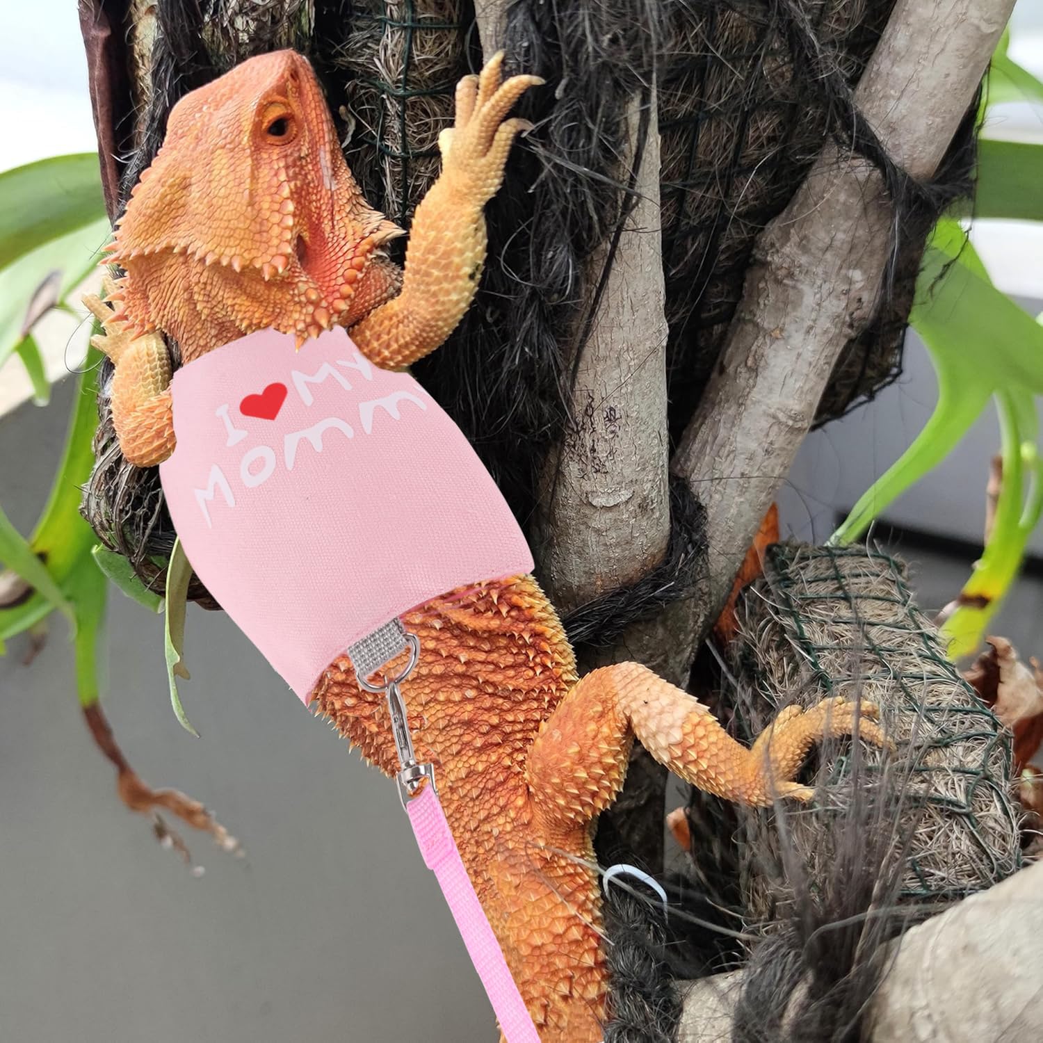 WEVONIGU small animal backpack carrier leash shown with the harness set.