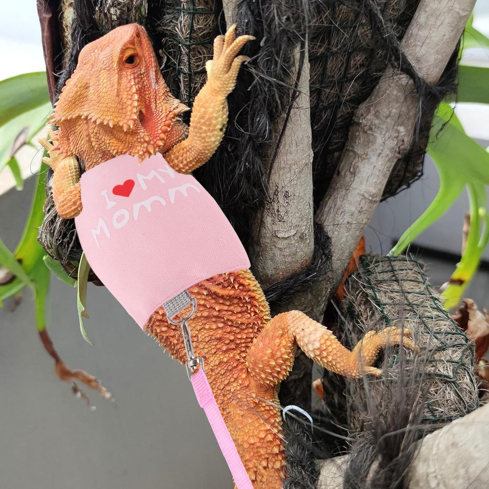 WEVONIGU small animal backpack carrier leash shown with the harness set.