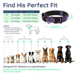 WhoseID tactical dog collar showing its adjustable strap detail.