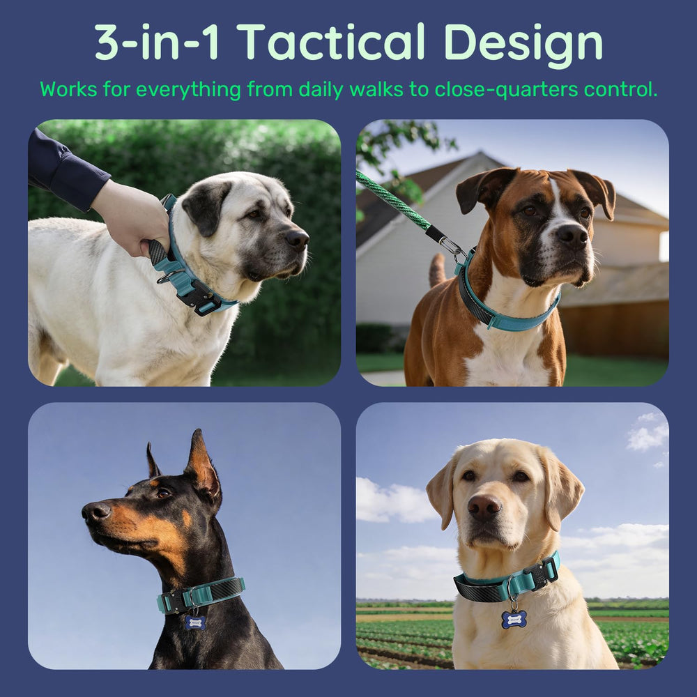 WhoseID tactical dog collar handle secured against the collar with its fastener.