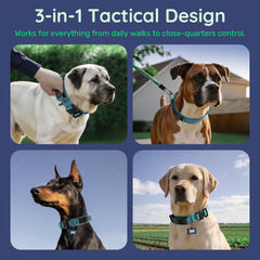WhoseID tactical dog collar handle secured against the collar with its fastener.