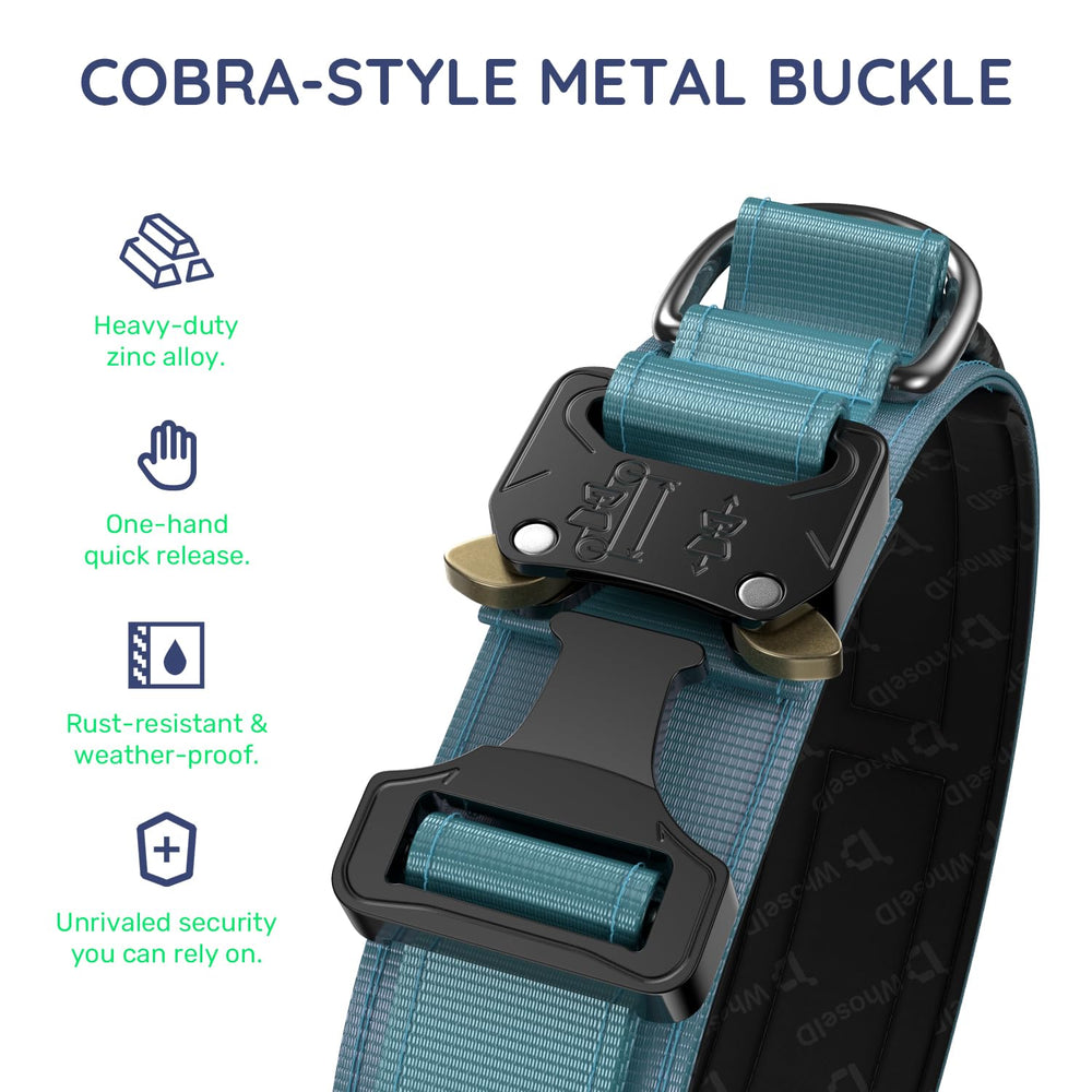 WhoseID tactical dog collar detail showing the heavy-duty metal buckle.