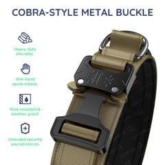 WhoseID tactical dog collar close-up showing the heavy-duty metal buckle.