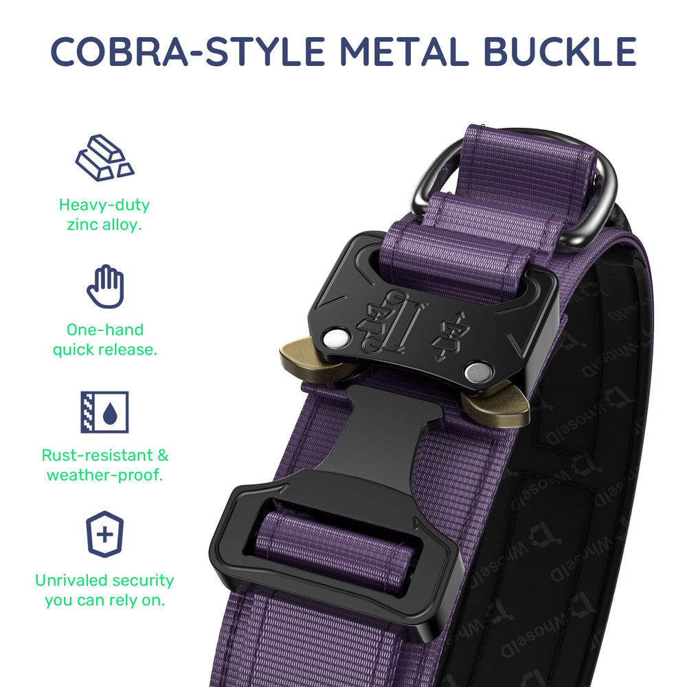 WhoseID tactical dog collar with a close view of its metal buckle.