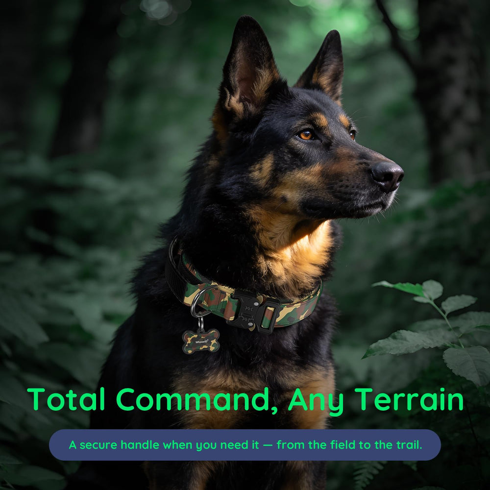 WhoseID tactical dog collar shown being worn by a dog.