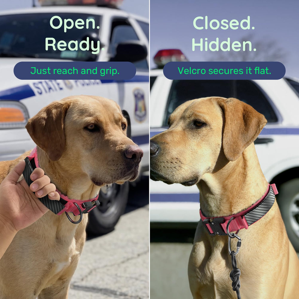 WhoseID tactical dog collar padded inner lining shown in detail.
