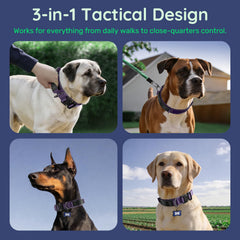 WhoseID tactical dog collar displaying the QR code ID tag.