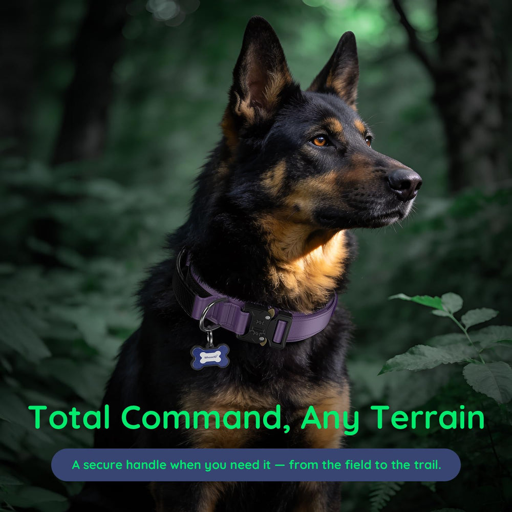 WhoseID tactical dog collar shown with its M, L, and XL size options.