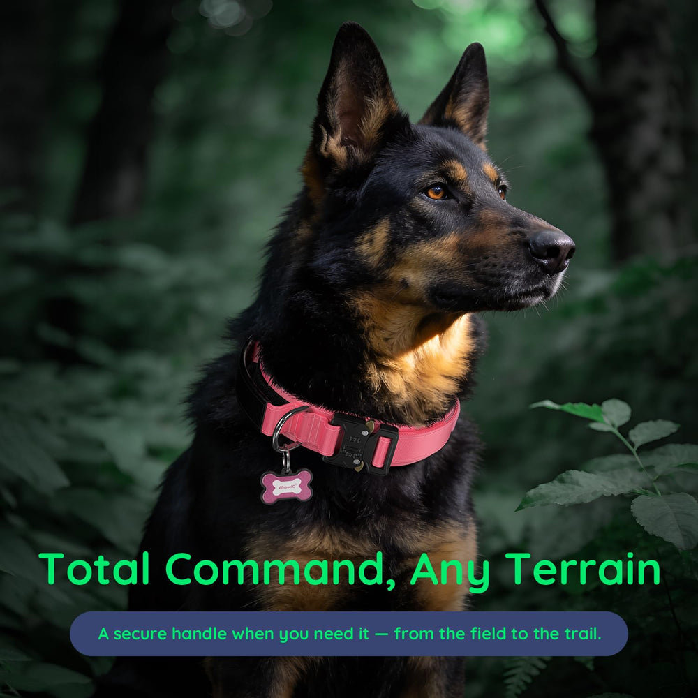 WhoseID tactical dog collar shown being worn by a dog.