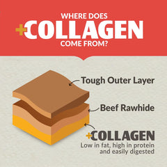 Wild Eats salmon flavor collagen twist dog chew shown from a side angle.