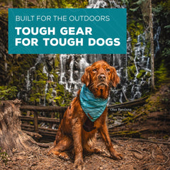 Wilderdog dog bandana highlighting its Camp style.