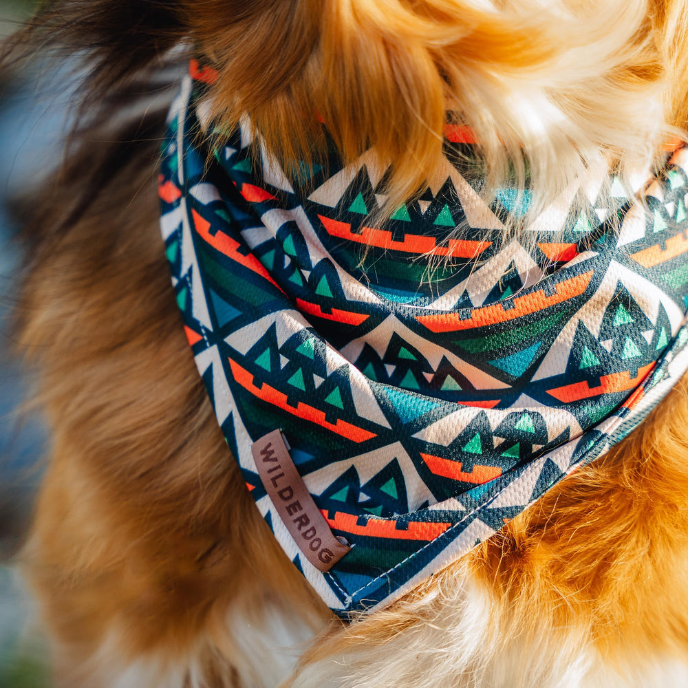 Wilderdog dog bandana showing the lightweight mesh fabric drape.