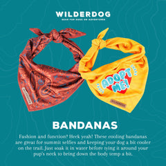 Wilderdog dog bandana worn around a dog's neck.