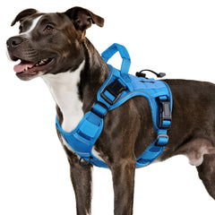WINGOIN blue tactical dog harness shown from the front.