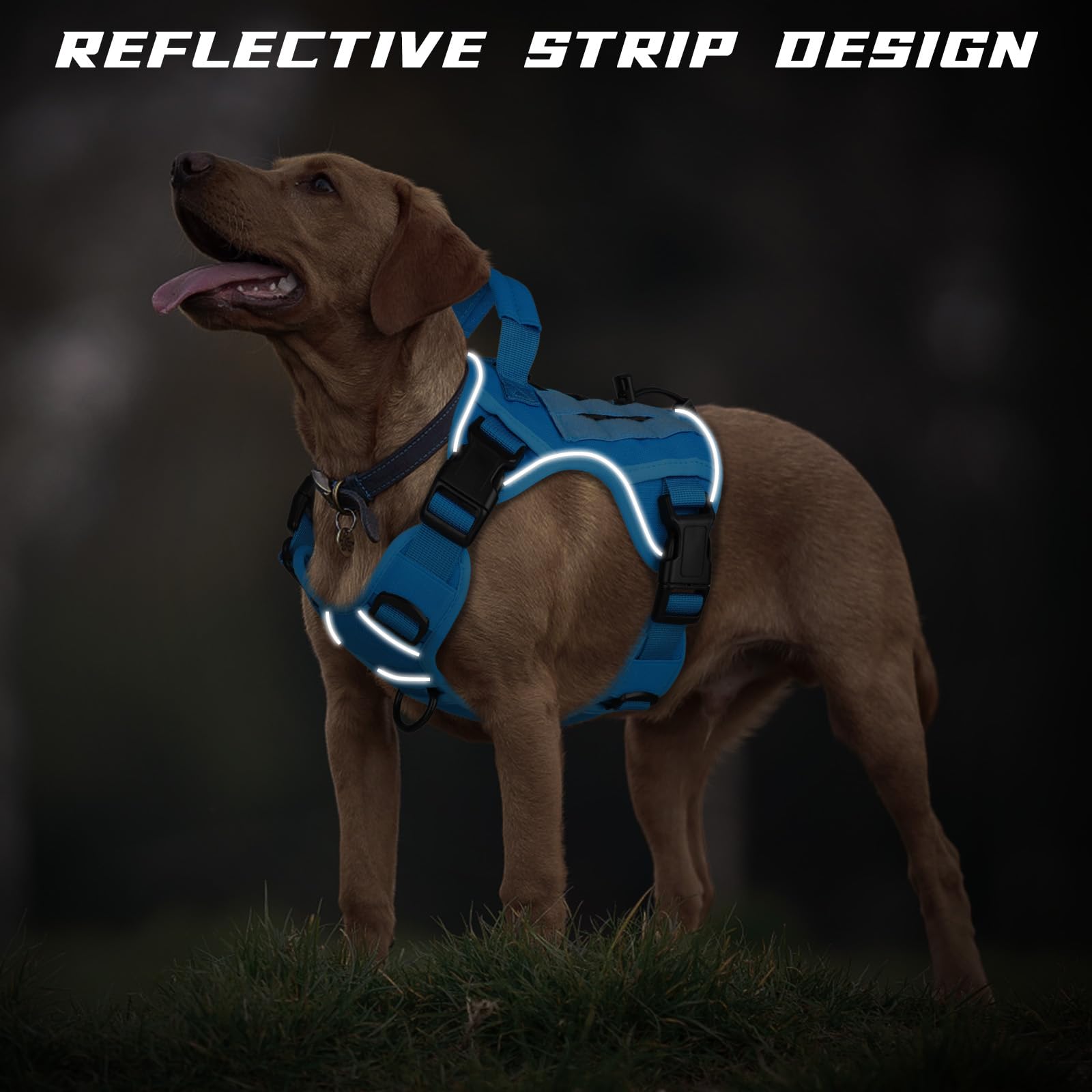 WINGOIN dog harness detail showing the sewn handle and stainless steel rings.