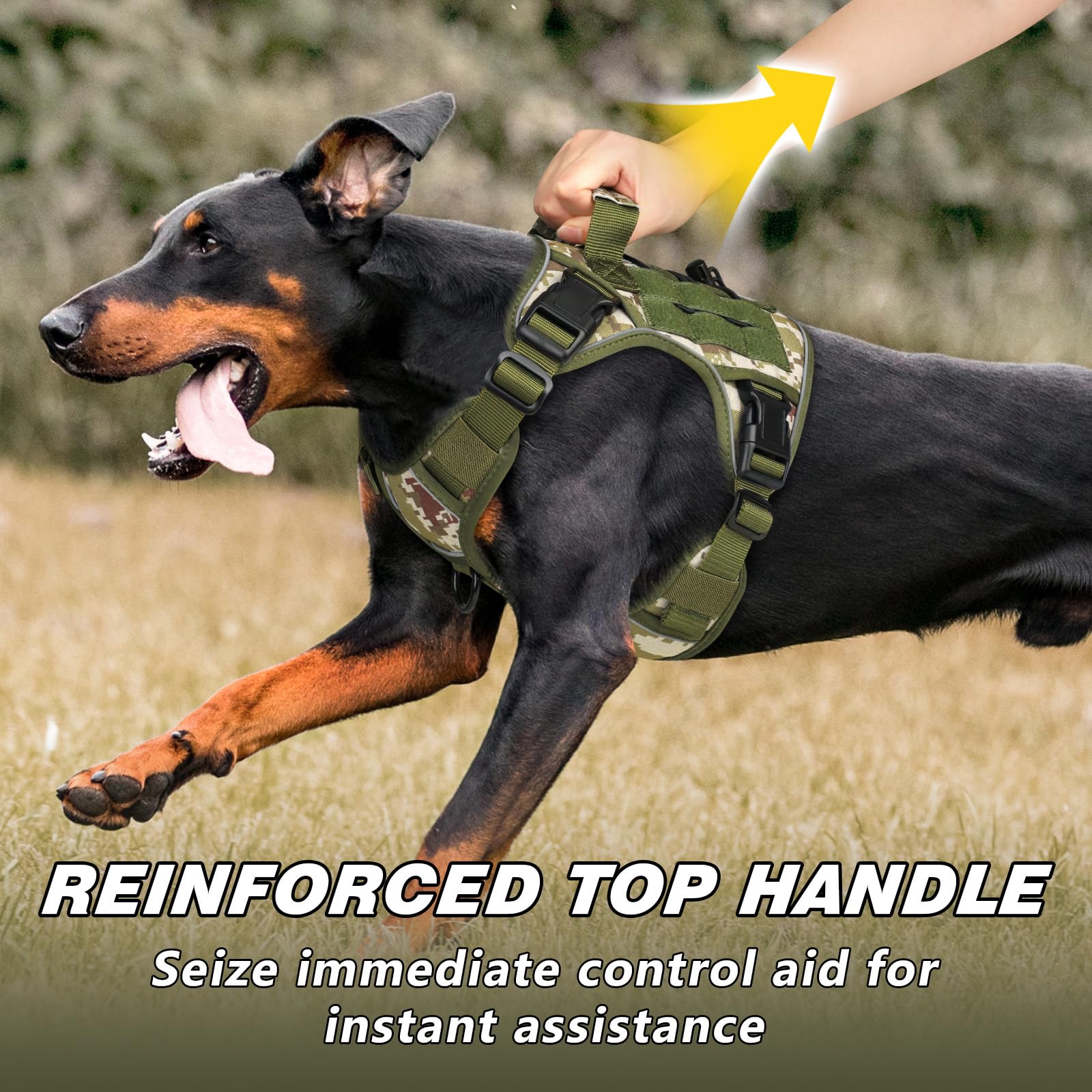 WINGOIN Tactical Dog Harness detail showing the handle and stainless steel D-rings.